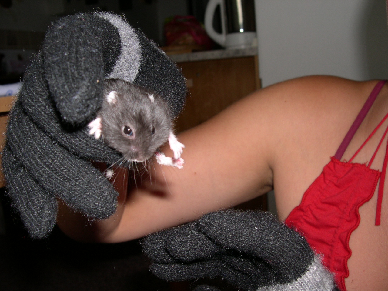 DSCN2561.JPG